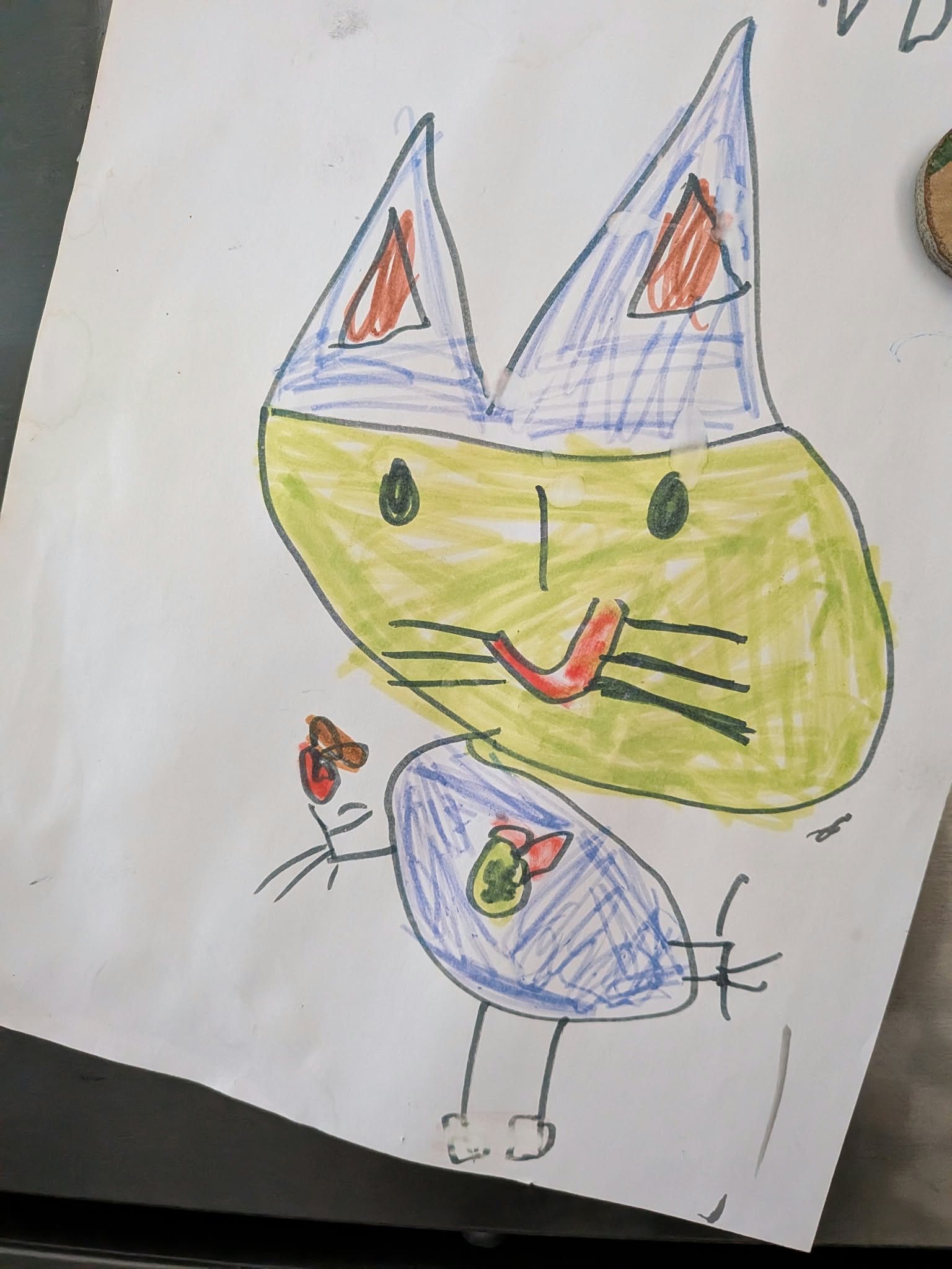 Avant : dessin du chat vert aux oreilles bleues avec son papillon